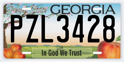 GA license plate PZL3428