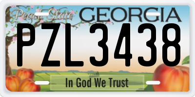 GA license plate PZL3438