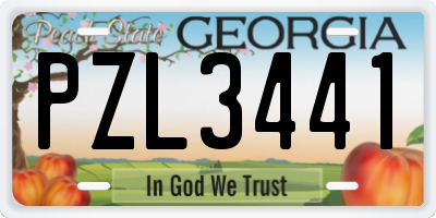 GA license plate PZL3441