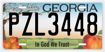 GA license plate PZL3448