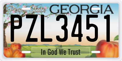 GA license plate PZL3451