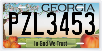 GA license plate PZL3453