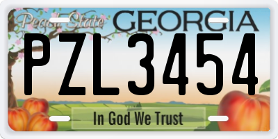 GA license plate PZL3454