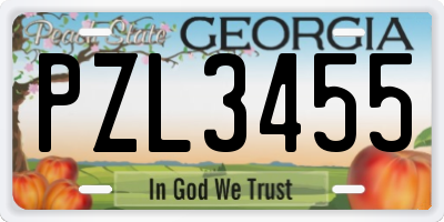 GA license plate PZL3455