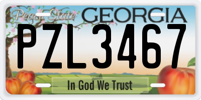 GA license plate PZL3467