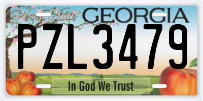 GA license plate PZL3479
