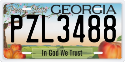 GA license plate PZL3488