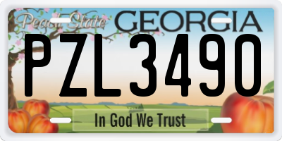 GA license plate PZL3490
