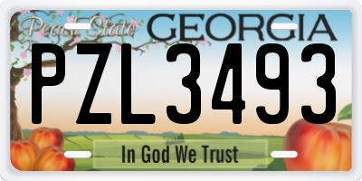 GA license plate PZL3493
