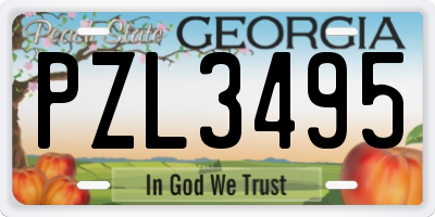 GA license plate PZL3495