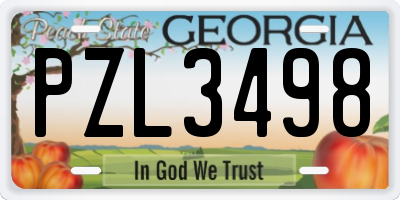 GA license plate PZL3498