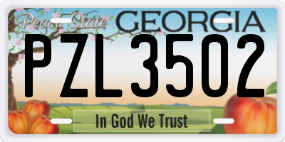 GA license plate PZL3502