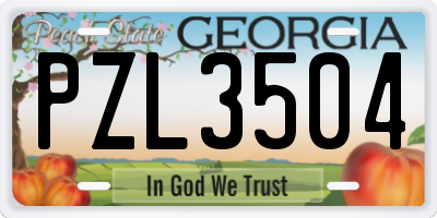 GA license plate PZL3504