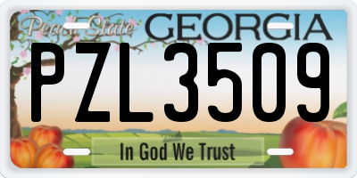 GA license plate PZL3509