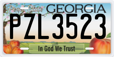 GA license plate PZL3523