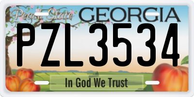 GA license plate PZL3534