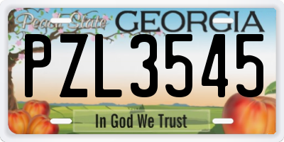 GA license plate PZL3545