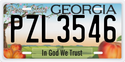 GA license plate PZL3546