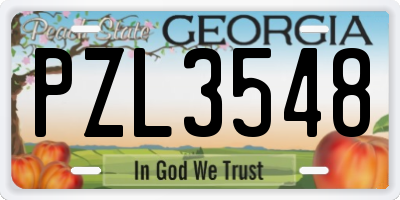 GA license plate PZL3548