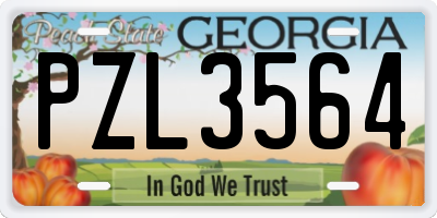 GA license plate PZL3564