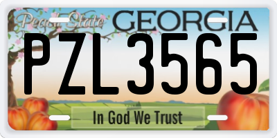 GA license plate PZL3565