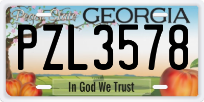 GA license plate PZL3578