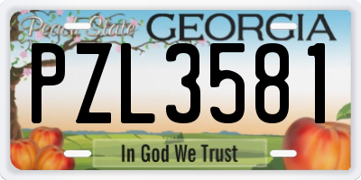 GA license plate PZL3581
