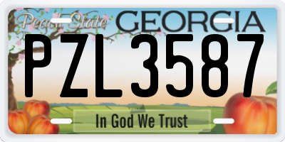 GA license plate PZL3587