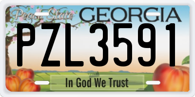 GA license plate PZL3591