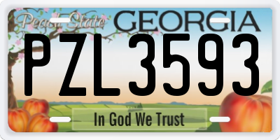 GA license plate PZL3593