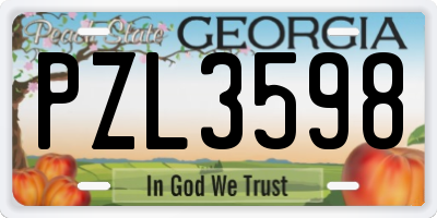 GA license plate PZL3598