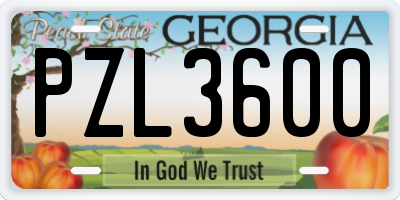 GA license plate PZL3600