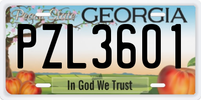 GA license plate PZL3601