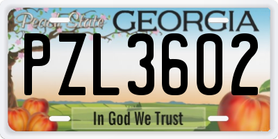 GA license plate PZL3602