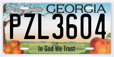 GA license plate PZL3604