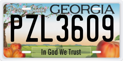 GA license plate PZL3609