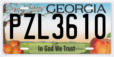 GA license plate PZL3610