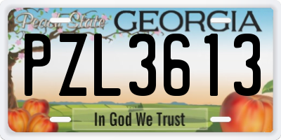 GA license plate PZL3613