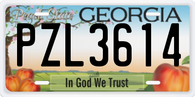 GA license plate PZL3614