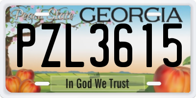 GA license plate PZL3615