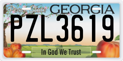 GA license plate PZL3619