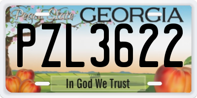 GA license plate PZL3622