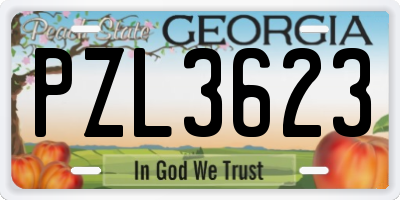 GA license plate PZL3623