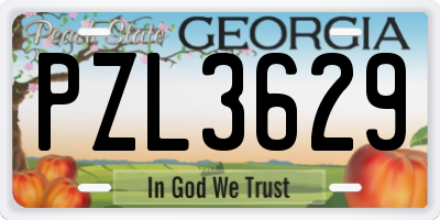GA license plate PZL3629