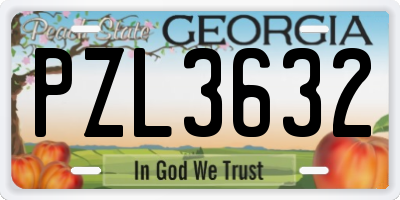 GA license plate PZL3632
