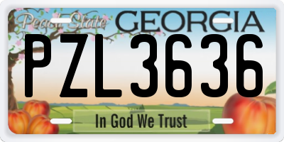 GA license plate PZL3636