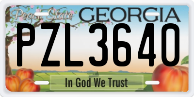 GA license plate PZL3640