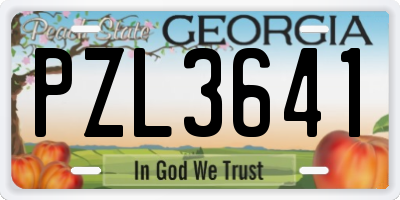 GA license plate PZL3641