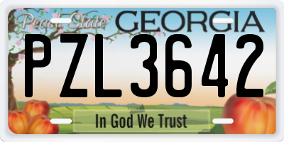 GA license plate PZL3642