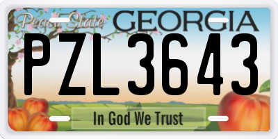 GA license plate PZL3643